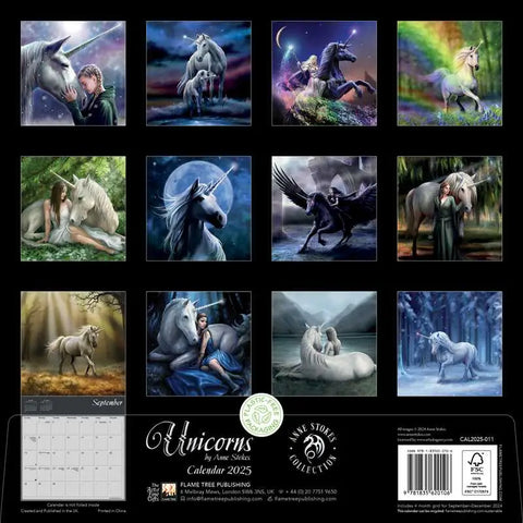 Unicorns By Anne Stokes Wall Calendar 2025