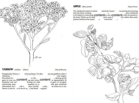 Plants Against The Patriarchy