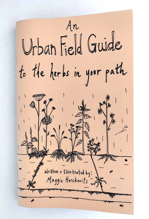 Urban Field Guide to the Herbs in Your Path