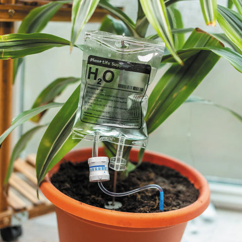 Plant Life Support Houseplant Watering Device